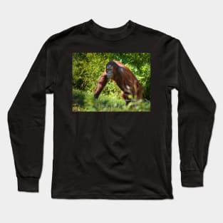 Orangutan in the forest Long Sleeve T-Shirt